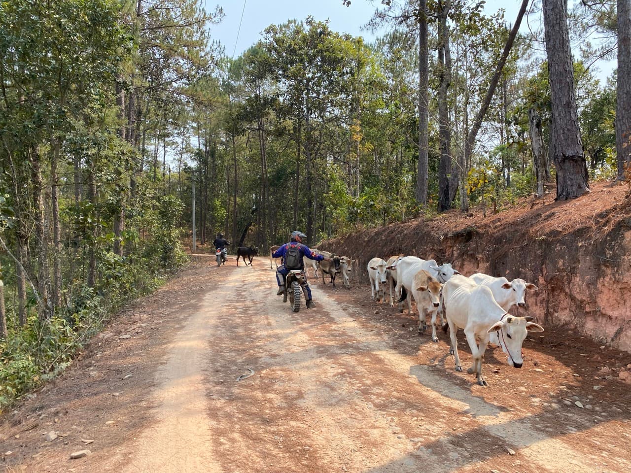 Mae Win Dirt Roads