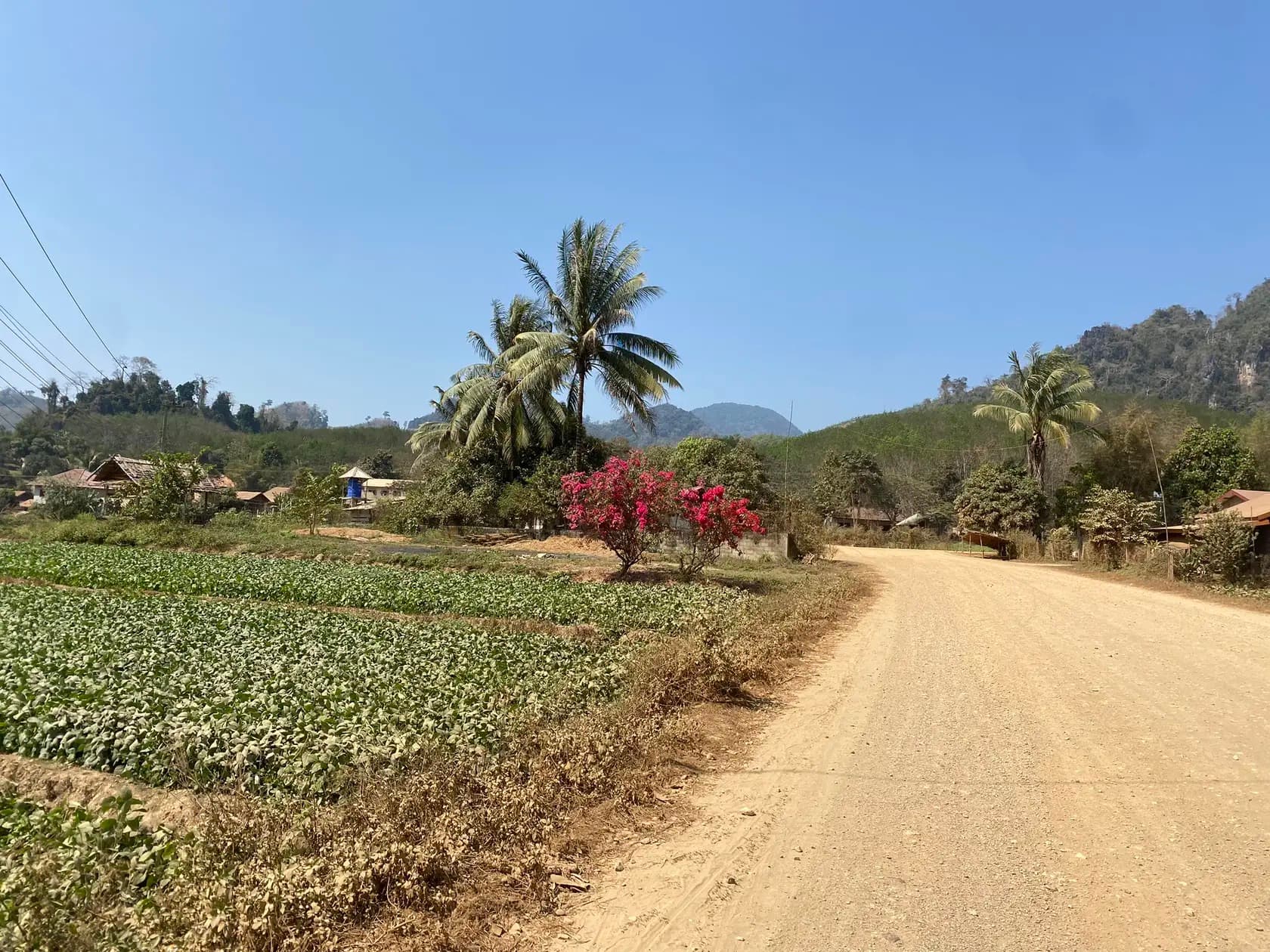 Houay Xai to Pak Beng