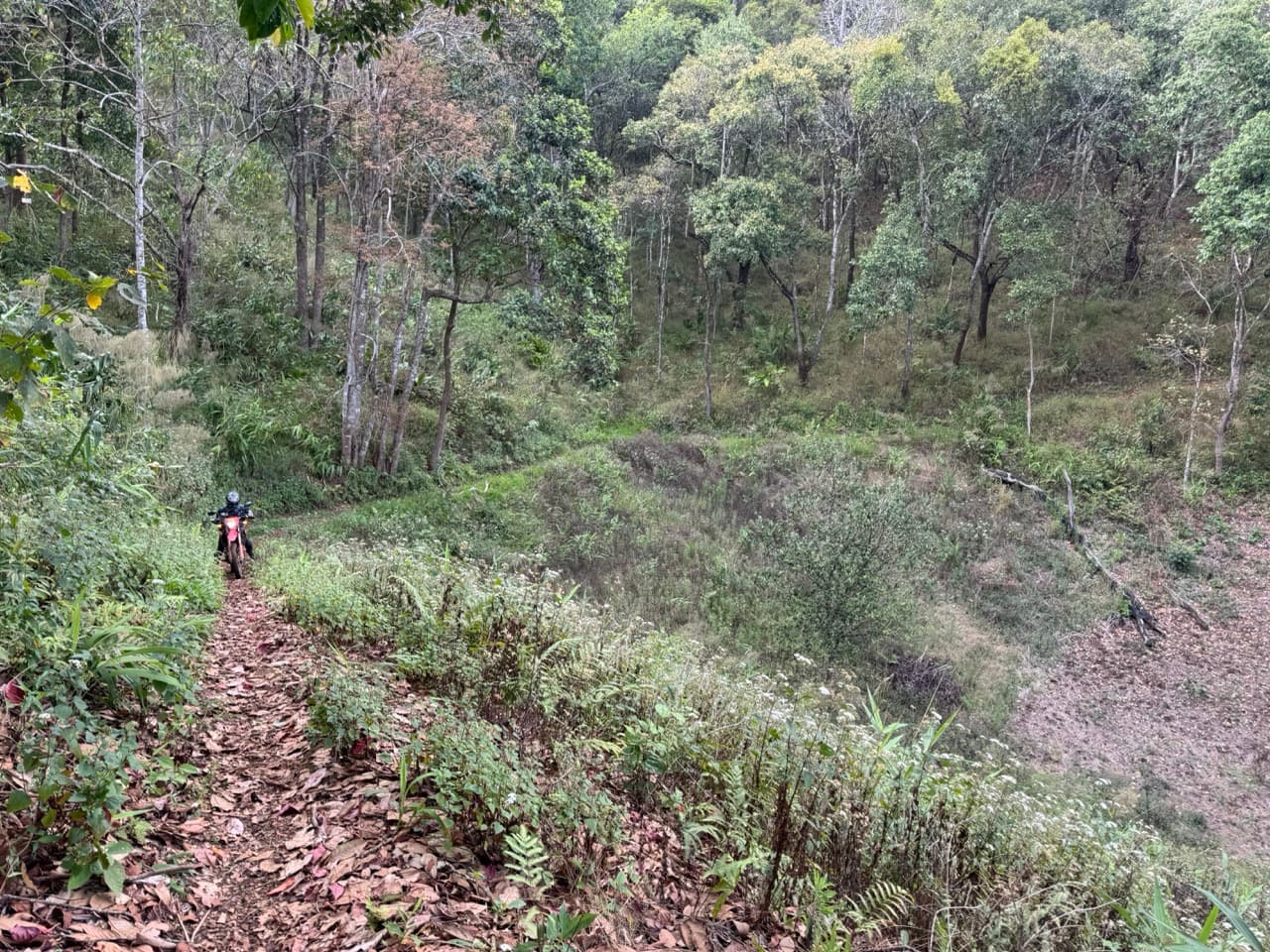Wiang Haeng to Pai